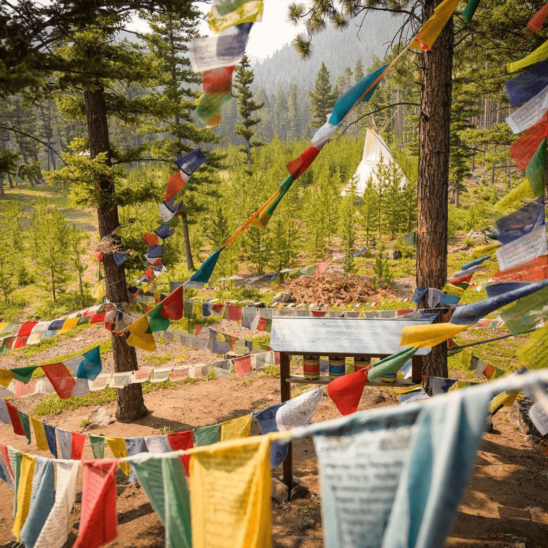 Featheredpipe Foundation Digital Marketing