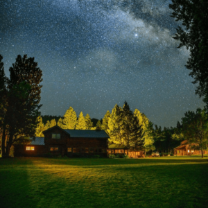 Featheredpipe Foundation Digital Marketing