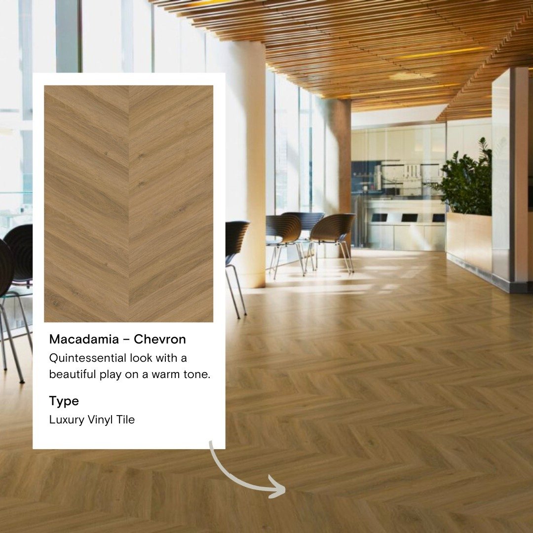 Alfa Carpeting Digital Marketing